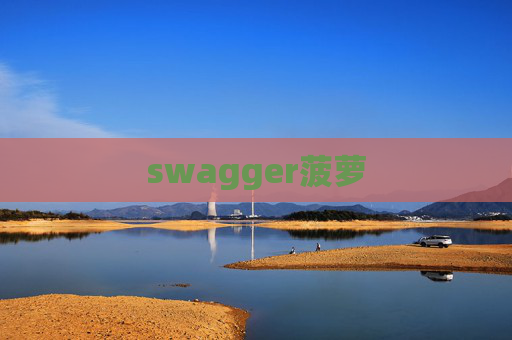 swagger菠萝 swagger菠萝